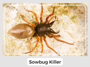 Sowbug Killer